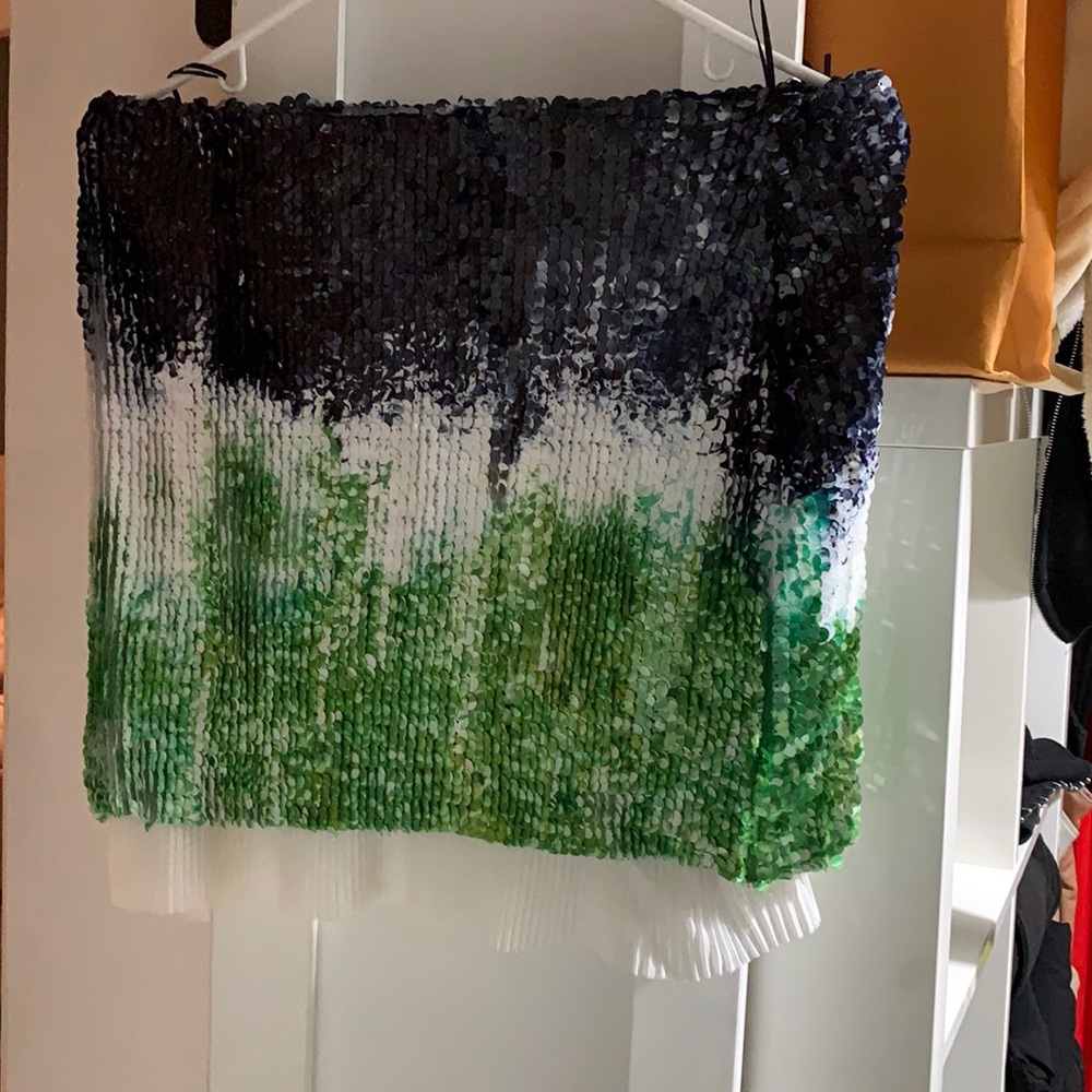Zara sequence skirt
